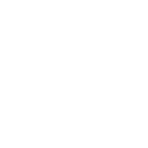 Icono